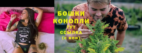 амф Арсеньев