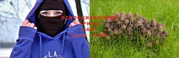 таблы Армянск