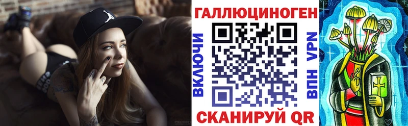 Купить где  Выборг  Псилоцибиновые грибы Psilocybine cubensis 